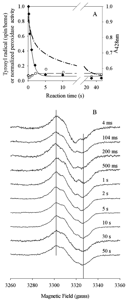 FIGURE 8