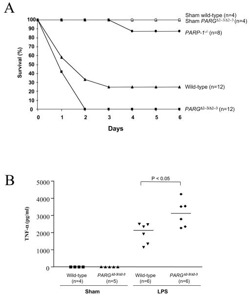 FIG. 8.