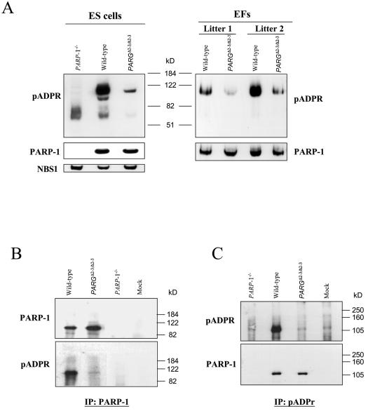 FIG. 5.