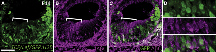 Figure 2