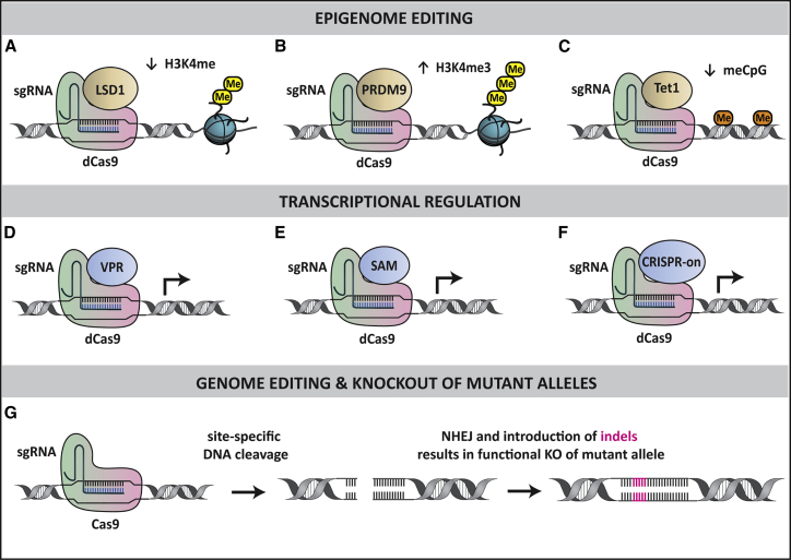 Figure 4