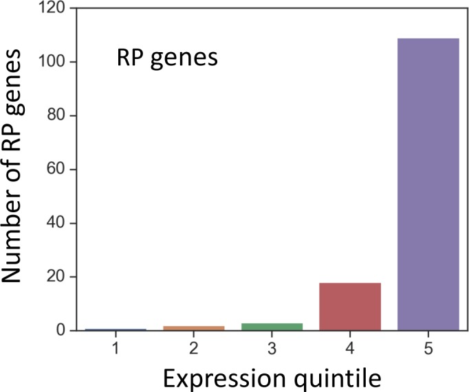 Figure 3—figure supplement 2.