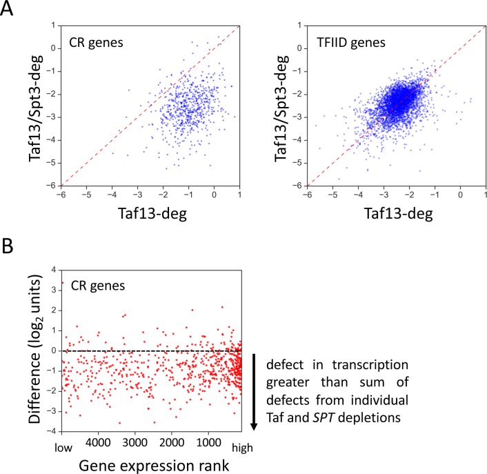 Figure 2—figure supplement 1.