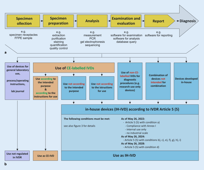 Structure and content of the EU-IVDR: Current status and implications ...