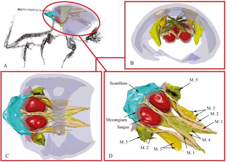 Fig. 4.