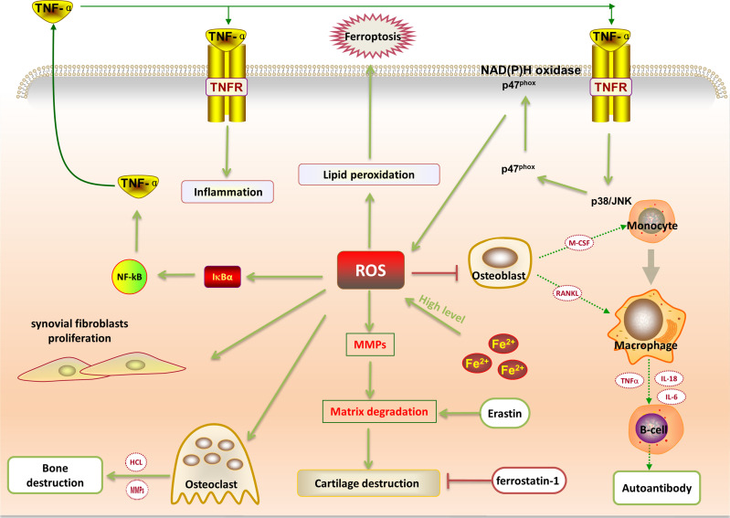 Figure 2