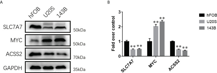 Figure 5