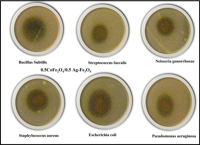 Fig. 9