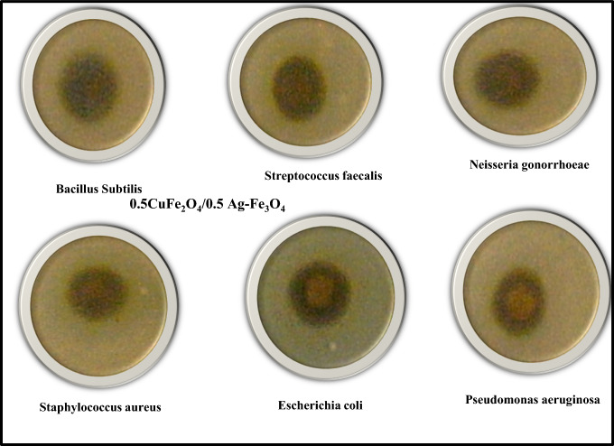 Fig. 10