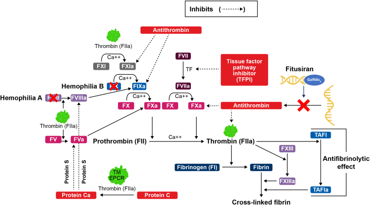 Figure 2