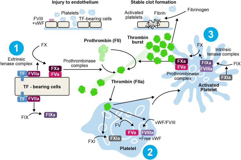 Figure 1