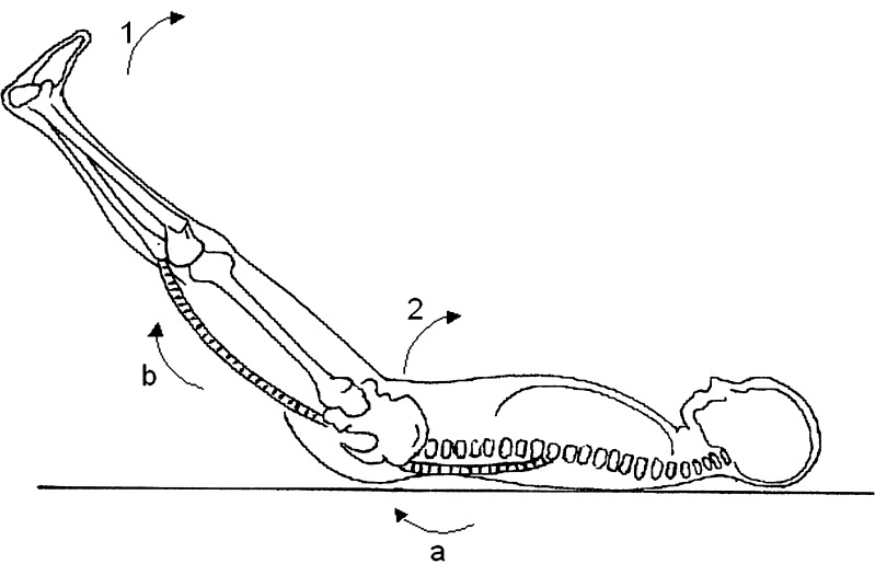 Fig. 2