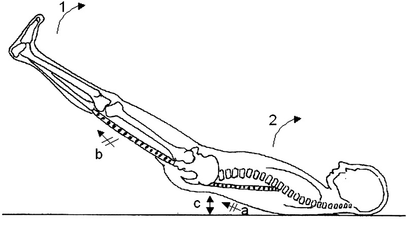 Fig. 3