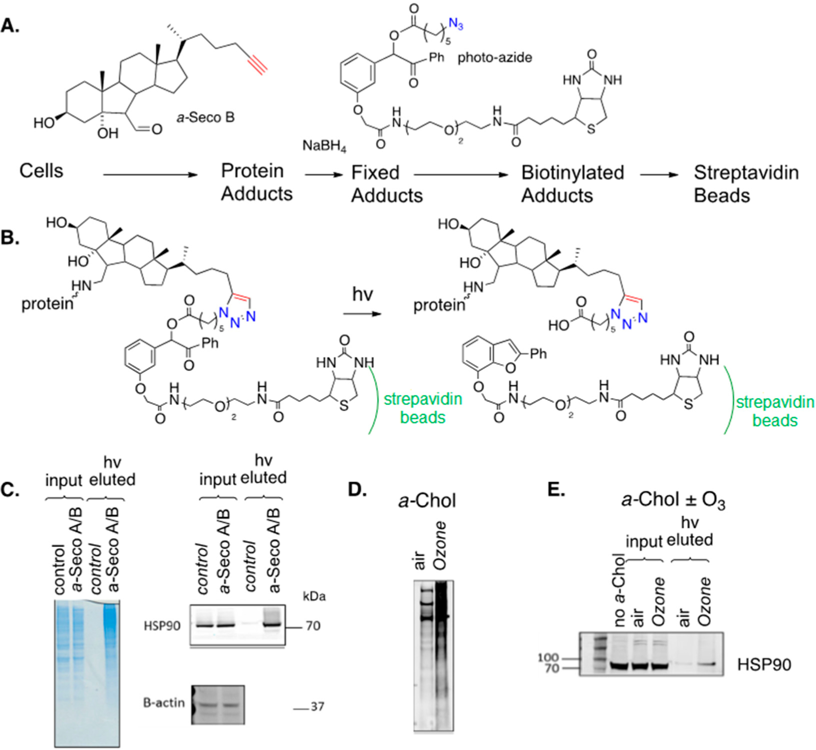 Figure 16.