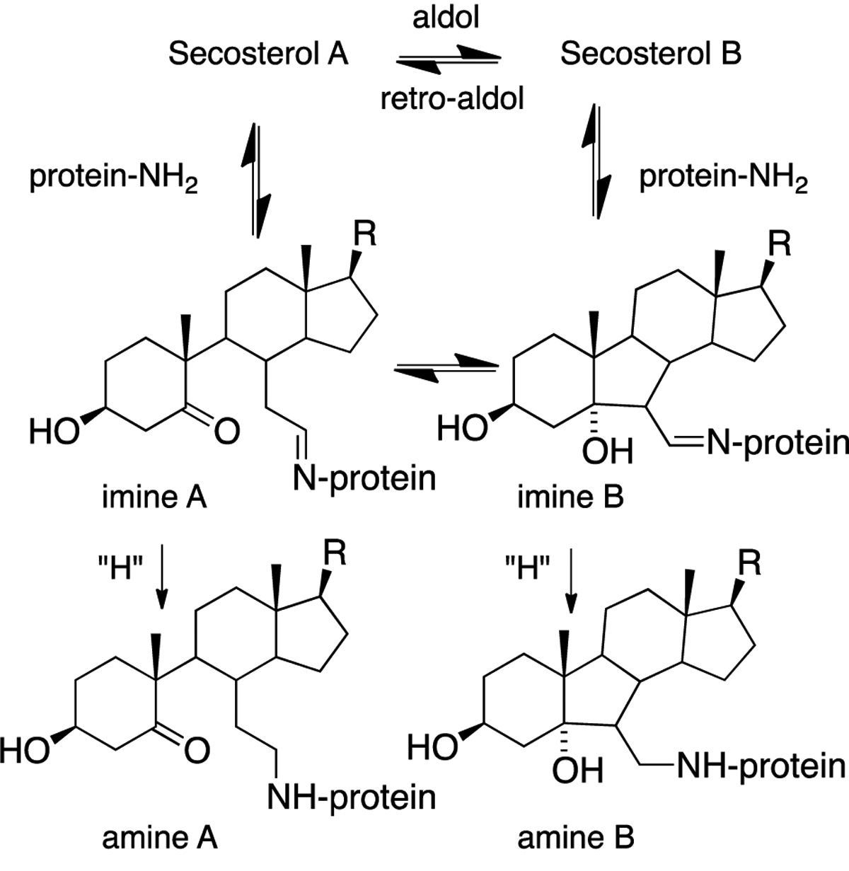 Figure 12.