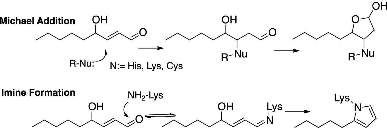Figure 11.