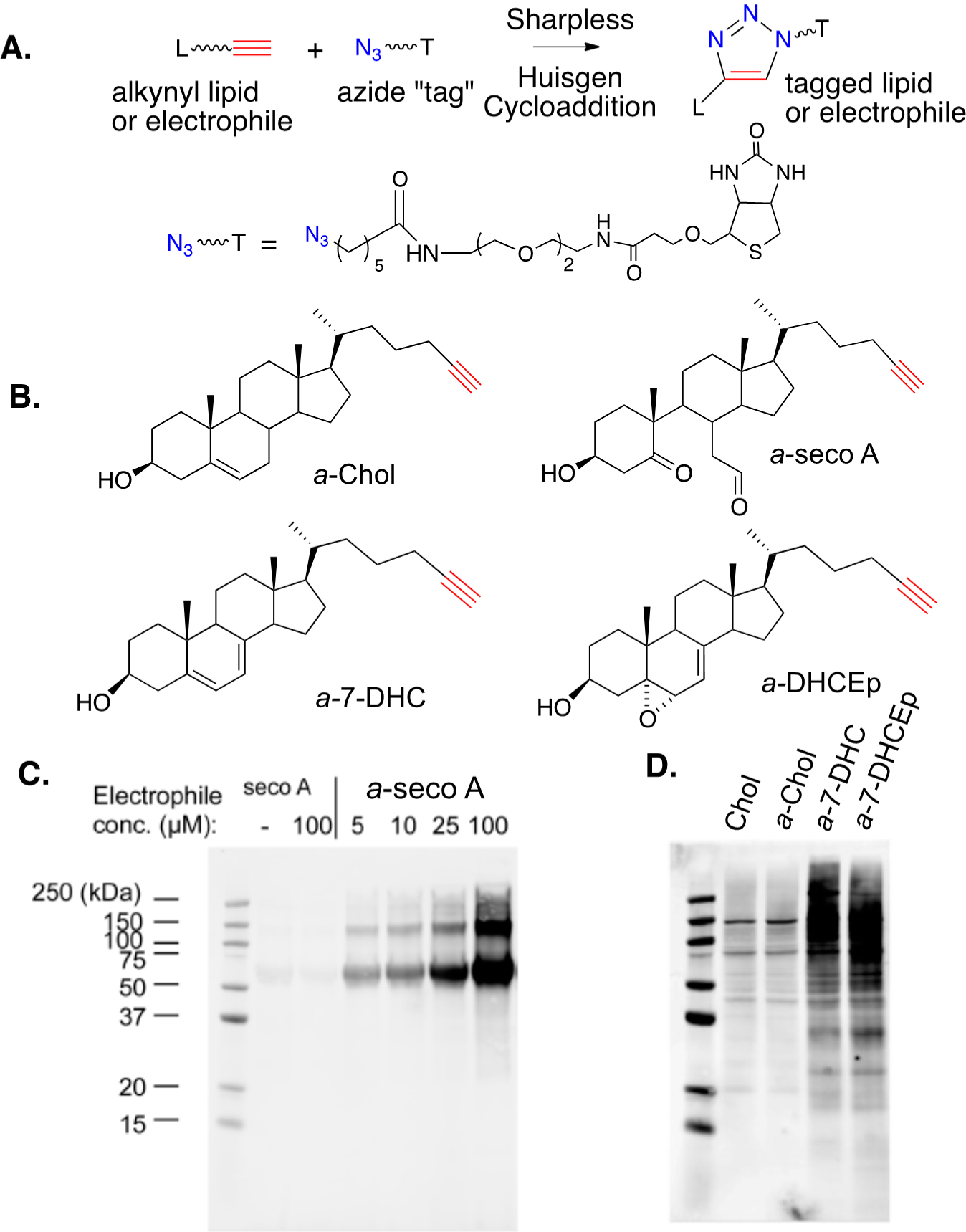Figure 15.