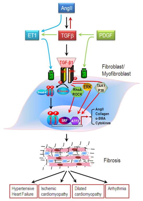 Fig. (1)