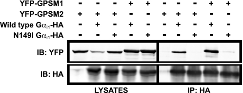 FIGURE 10.