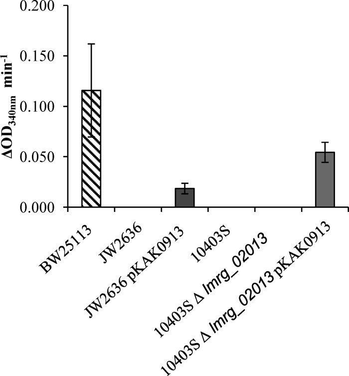 Fig 4