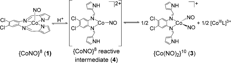 Scheme 2