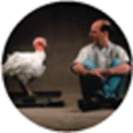 graphic file with name nihms876233b2.gif