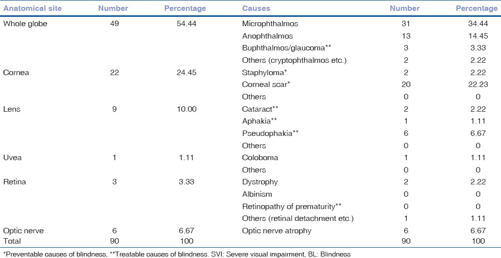 graphic file with name IJO-63-254-g007.jpg