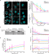 FIGURE 5: