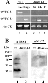 Figure 4.
