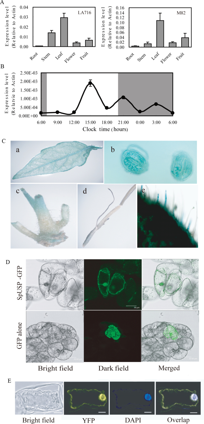 Fig. 1. 