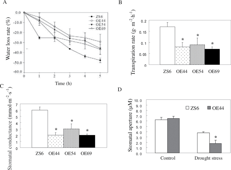 Fig. 6. 