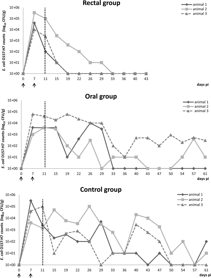 FIG 1