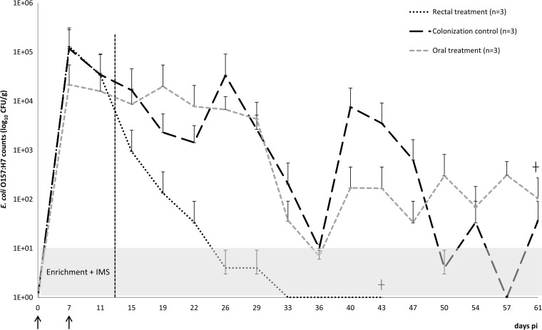 FIG 2