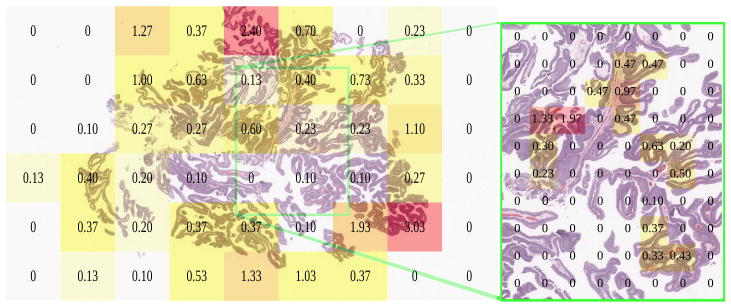 Fig. 7