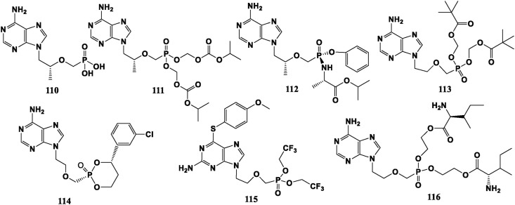 Fig. 10