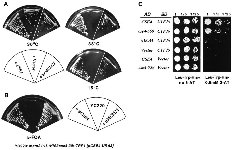 FIG. 7