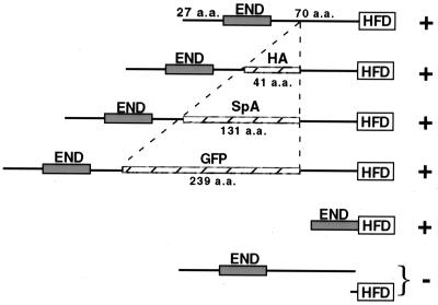 FIG. 8