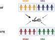 Graphical Abstract