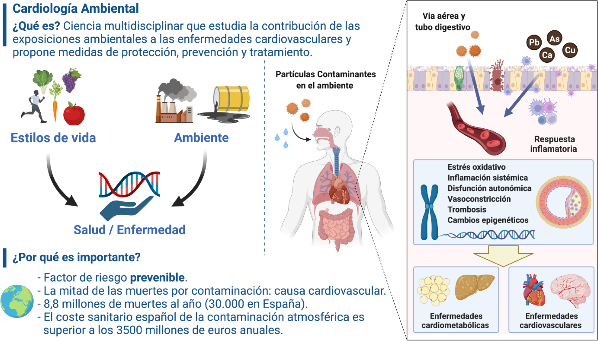 Figura 1.