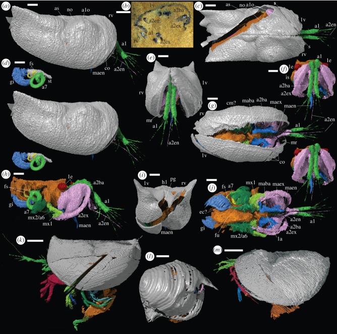 Figure 2.