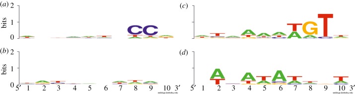 Figure 7.