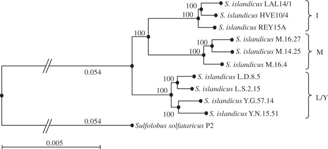 Figure 1.