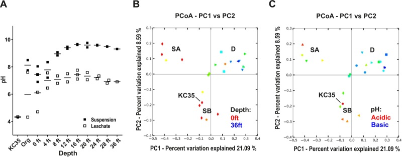 FIG 2 