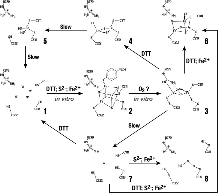 Fig. 2.