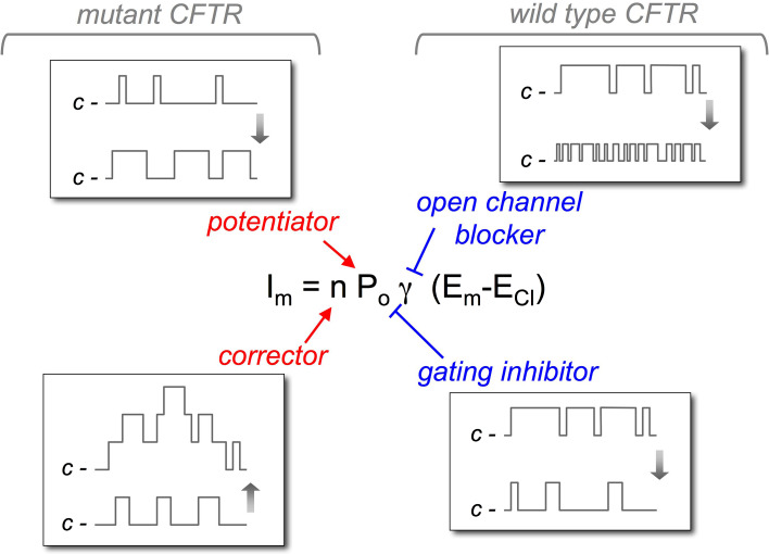 Fig. 2