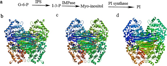 Fig. 3