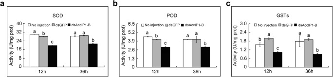 Fig. 12