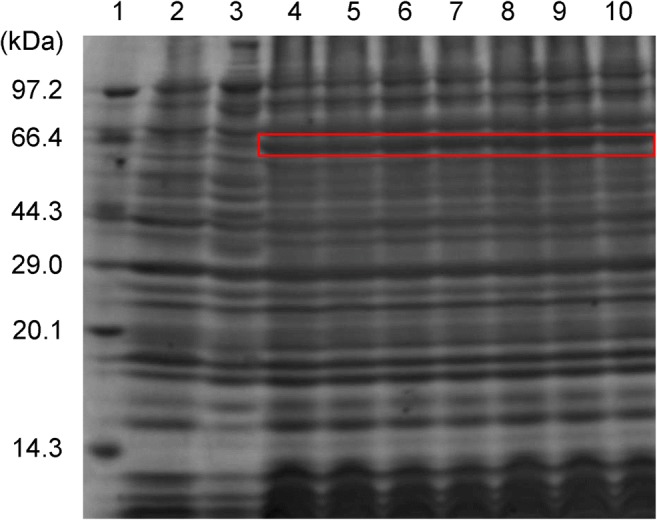 Fig. 8