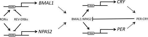 FIGURE 7.