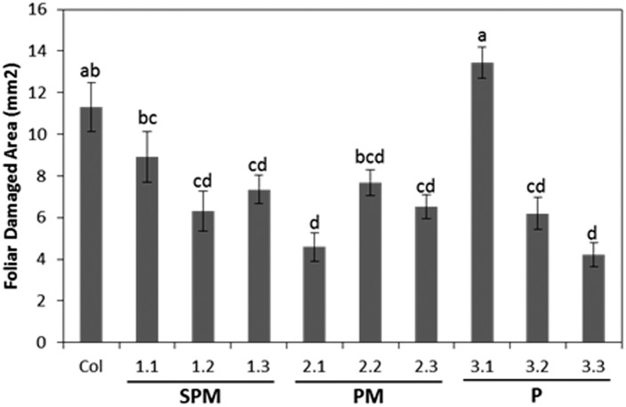 Fig 4